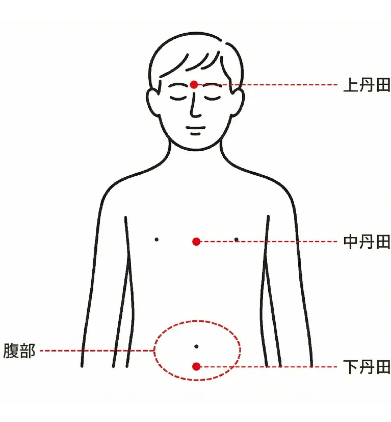 丹田與腹部位置示意圖