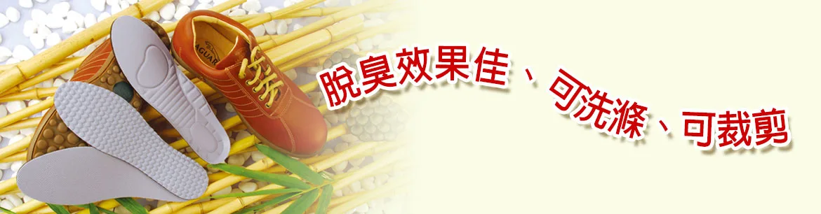 源之氣消臭鞋墊，脫臭效果佳，可洗滌、裁剪