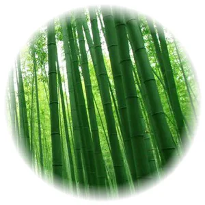 含竹炭健康機能