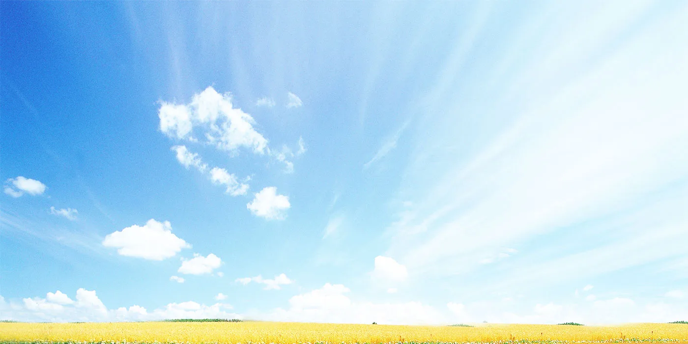 Yenzch 杖行萬里，走出健康